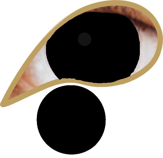 Black mini sclera ooglenzen voor 3 maanden