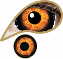 Beast mini sclera ooglenzen voor 12 maanden