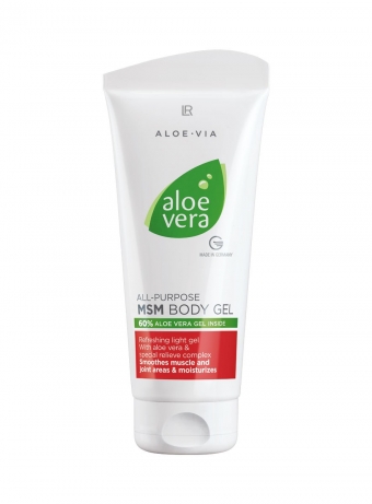 images/productimages/small/lr-aloe-via-msm-body-gel.jpg